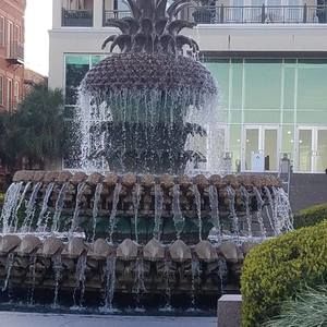 Meet your Posher, Sherry